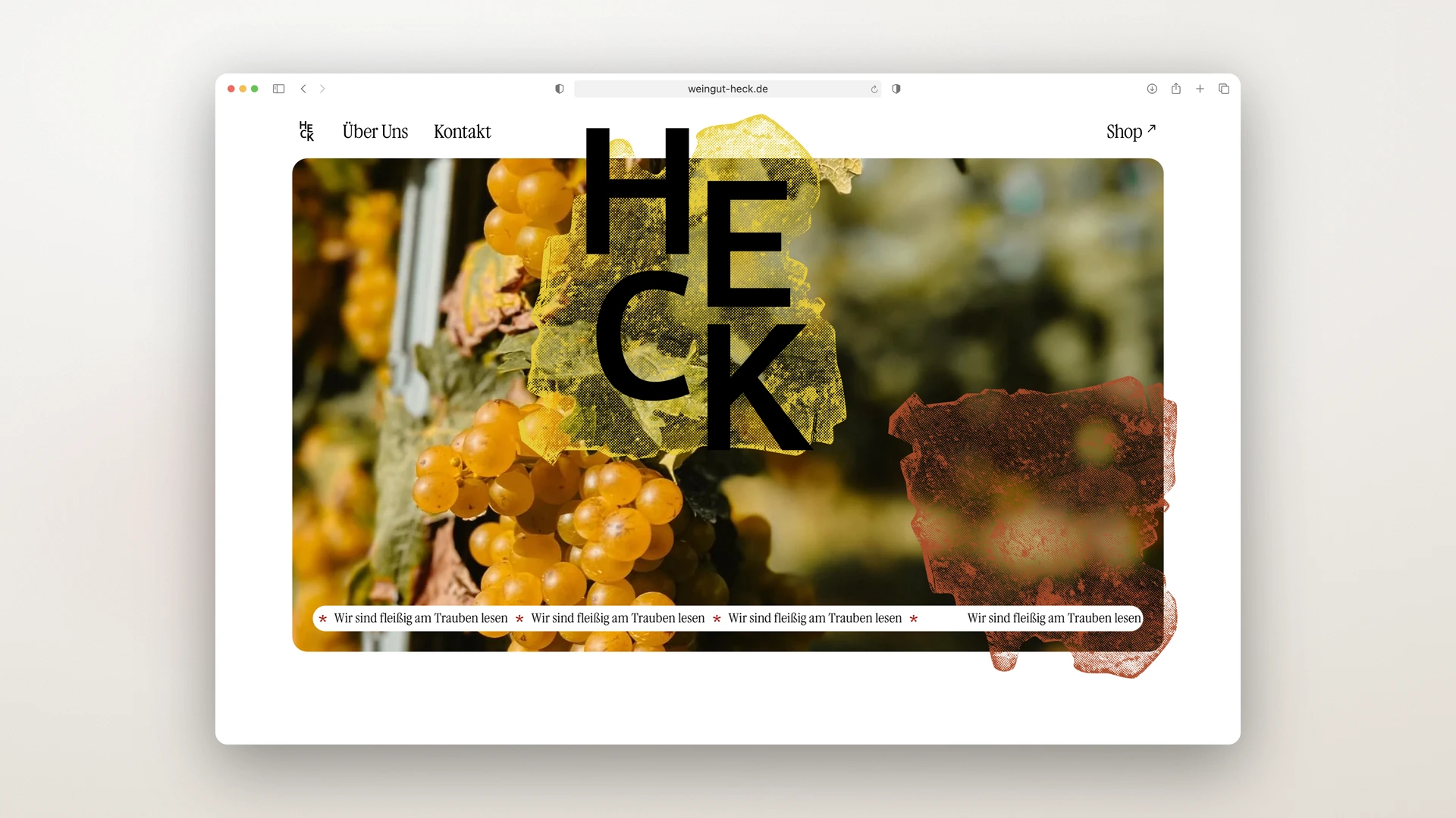 Weingut Heck - Desktop Home Stage with the HECK Wordmark over the Vineyard Photo